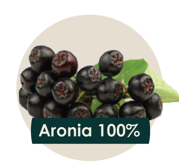 soki cennik 2018 ilustracje owocow - aronia-01